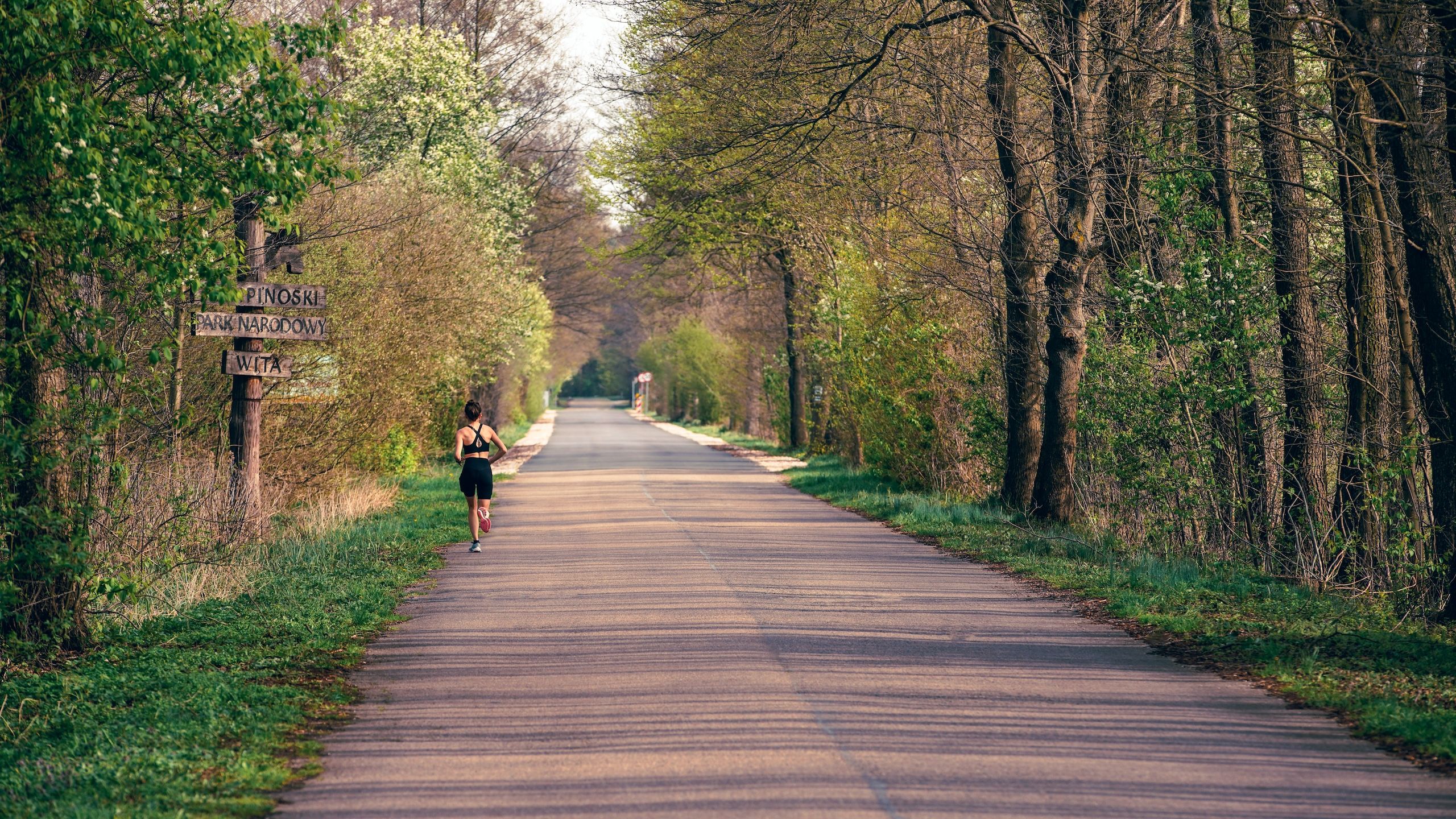 The image depicts a peaceful tree-lined road with a jogger running away from the camera, a wooden sign reading KAMPINOWSKI PARK NARODOWY WITA.