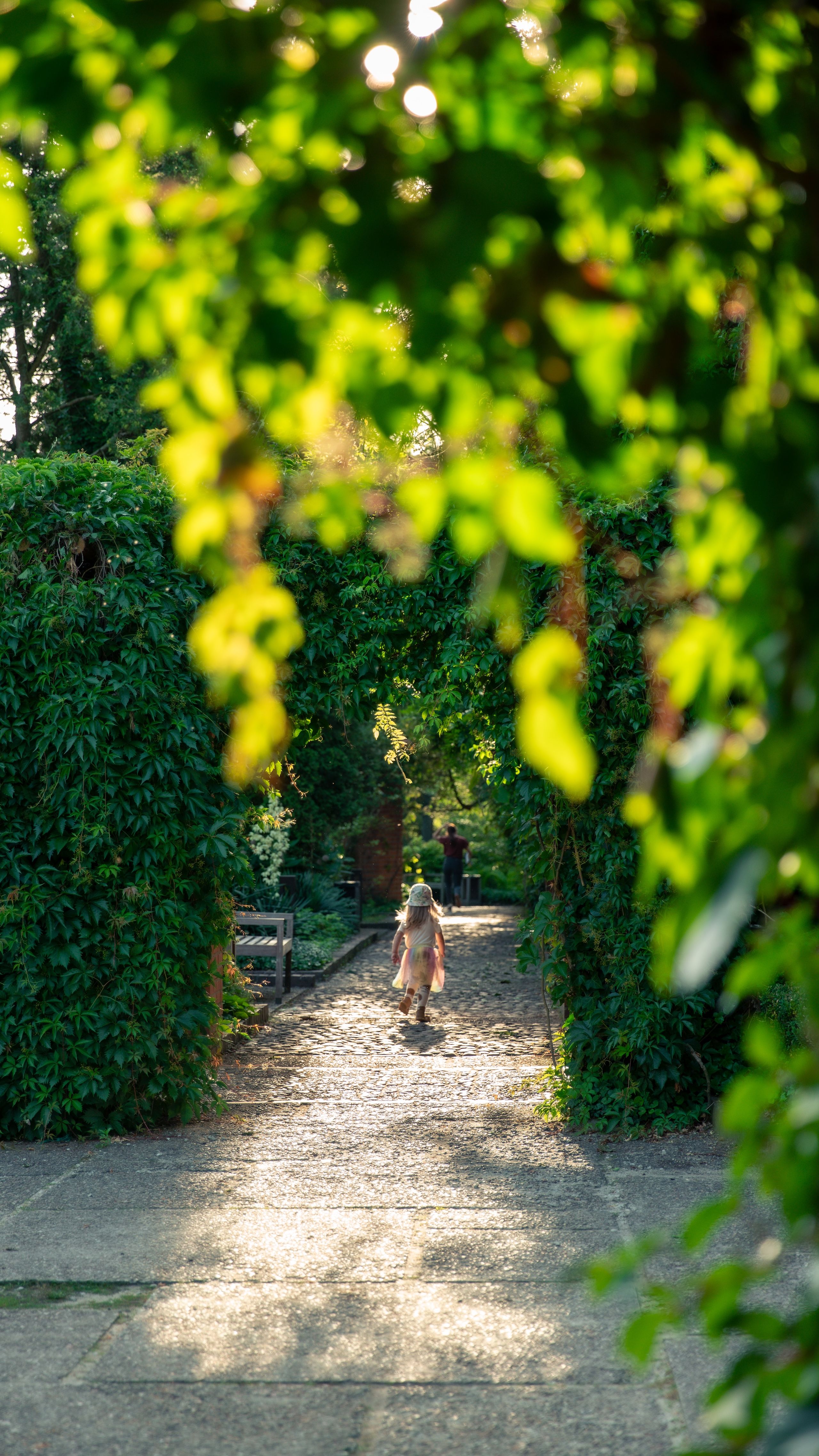 The image depict a lush garden path with an archway of green vines, sunlight filtering through the leaves, and a child walking down the cobblestone path towards the distance.