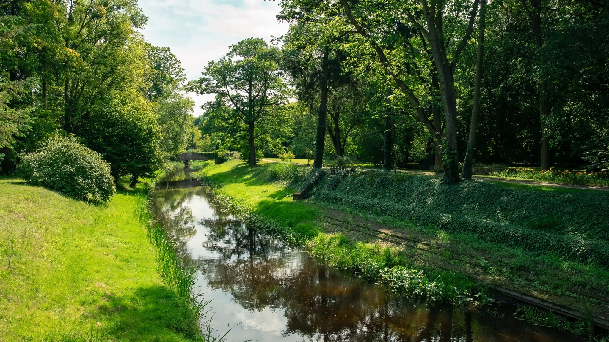 The image depicts a serene stream surrounded by lush green grass and trees. The sky can be seen reflecting in the water, creating a peaceful natural landscape.